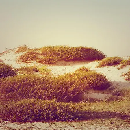 Le Grand De La 4* Biscarrosse-Plage