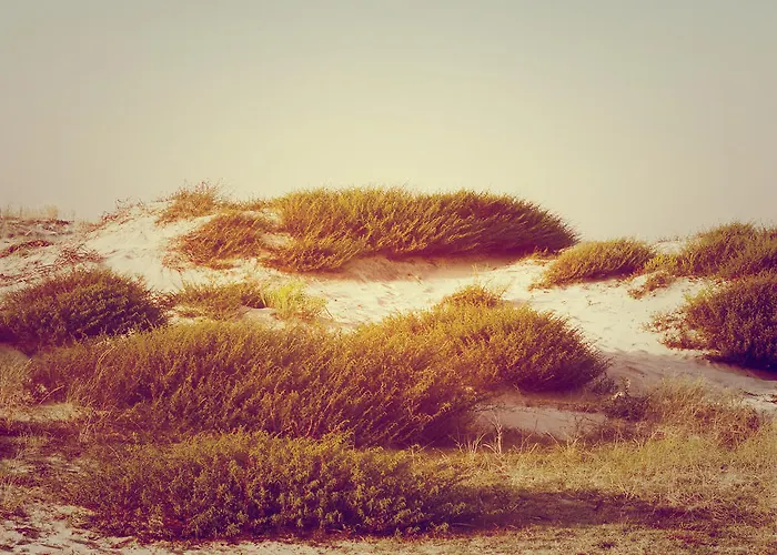 Le Grand De La 4* Biscarrosse-Plage